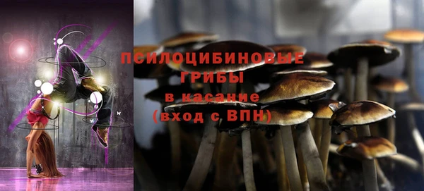 прущая мука Михайловск